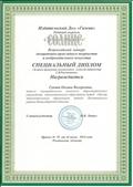Специальный диплом Всероссийского конкурса ДПТ и ИЗО
