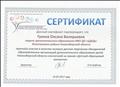 Сертификат эксперта на соискание звания "детский образцовый коллектив" 2017 г.